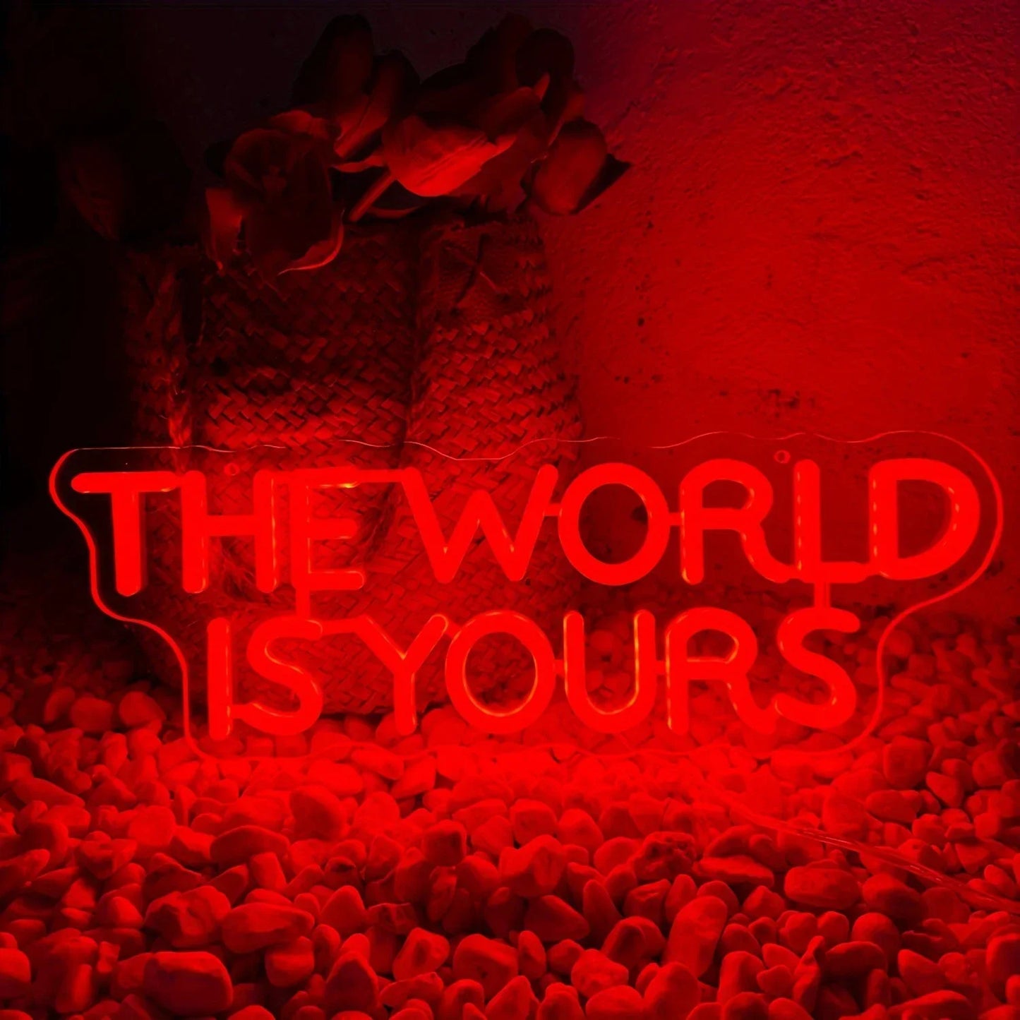 The World is yours. ❤️