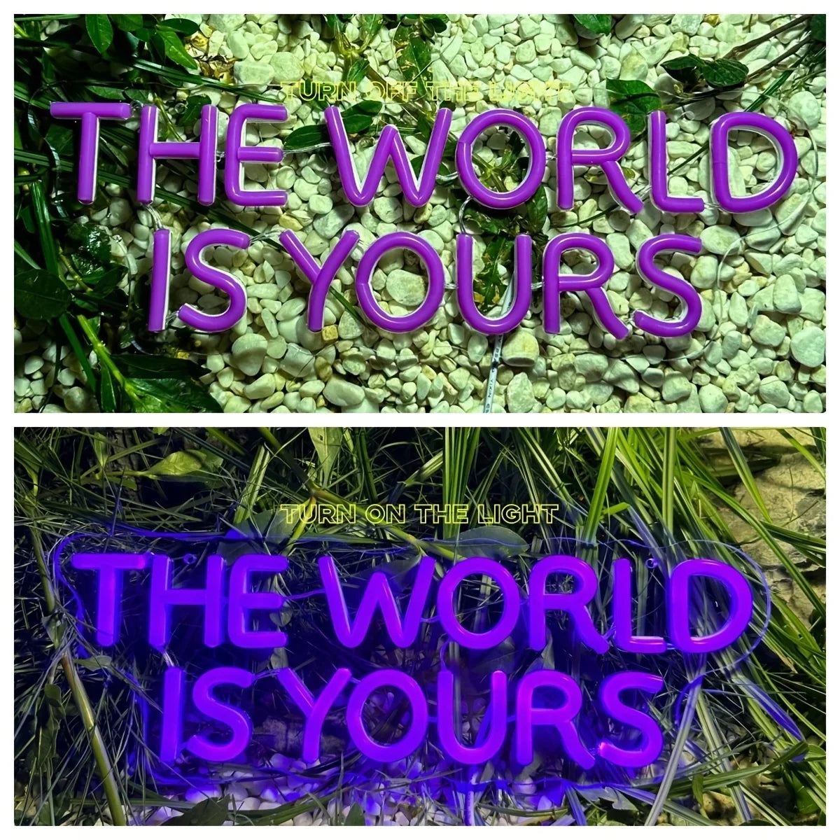 The World is yours. ❤️