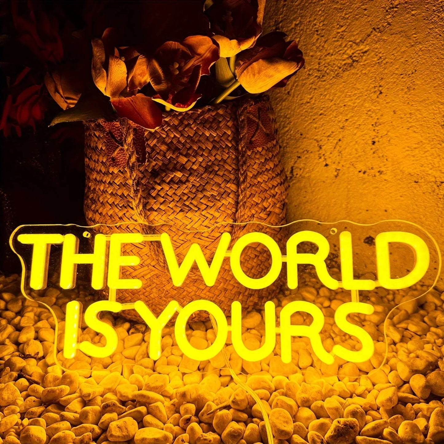 The World is yours. ❤️
